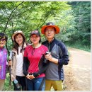 계족산황톳길 이미지