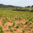 남송농원 이미지