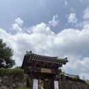 인연 | 🌿 [합천 카페] "나만 알고 싶었는데..." 고즈넉함 끝판왕! 100% 수제 한방차와 뷰맛집, '연꽃인연' 후기