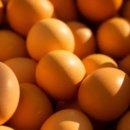 이서면 소로3-135(혁신) | 완주 맛집 추천! 전라도 현지인 강력 BEST 10