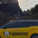 타요타요 펫택시 이미지