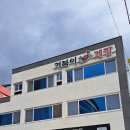 거북이 몰 이미지
