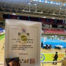 농어민체육관 | 의정부 복싱 캥거루 복싱 3월 대회 후기, 2026 회장배 전국복싱대회, 전국체전 경기도 대표 선발전 쾌거!!🥊
