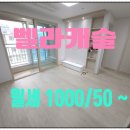 보광스타공인중개사사무소 이미지