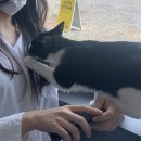 비타스티마