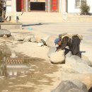 샹그리라민박 이미지