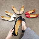 와이제이인터내셔널 이미지