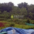 외리농장 Daum카페