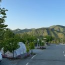 남노일로 | 홍천 세이지힐 캠핑장 계곡·숲·별빛까지 완벽했던 캠핑