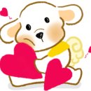 요크독애견샵 이미지