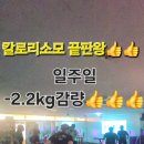 망고핏