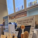 카페차이뉴코아
