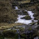 산곡골 | 소노골 얼음 녹아 흐르는 작은 폭포의 청량한 물소리에 귀 열고 피는 야생화 소식