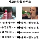 (주)왕왕 | 계란초밥에서 골든리트리버되버리기 멍멍!왕왕!