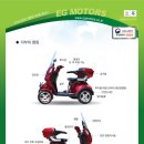 EG모터스 이미지