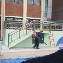 대전대양초교 이미지