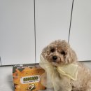 (주)노즈워크 | 🥑포우퀘스트 아보카도 노즈워크 후기🥑