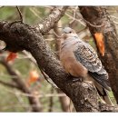 벽적골공원 이미지