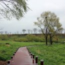 강나루 긴 언덕 이미지