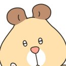 괜찮은하루