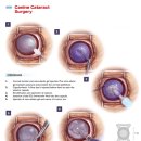 리더스 동물병원 이미지