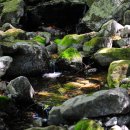 이리산소 이미지