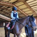 덕소 승마클럽 이미지