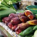 열린문가정의원 이미지