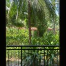 굿모닝콘도텔 | 베트남 나트랑 여행 나트랑숙소 다이아몬드베이리조트 &amp; 스파 다이아몬드베이리조트앤스파의 모든것