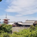 다인 행정사사무소 네이버블로그