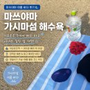 비소(조)-호-7 | 마쓰야마 가시마섬 사슴 찾기, 해수욕 비추 후기｜이요호조역에서 페리 타고 다녀온 여름 바다