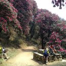 송우태권도 | 안나푸르나(Annapurna)와 그 주변지역 트래킹