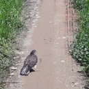 매밑농장 이미지