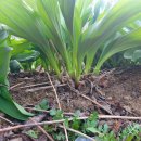 에이앤에프컴퍼니(주) 이미지