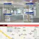 아미조헤어
