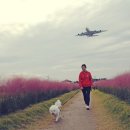 하늘정원3 이미지