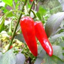 미정주유소 이미지