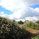 에코공원 이미지