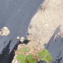 중대농장2 이미지