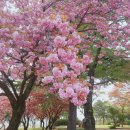 창원 성산패총 이미지