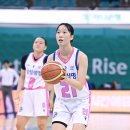 신인을 주목하라 데일리스포츠월드
