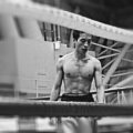 브리드 복싱GYM 이미지
