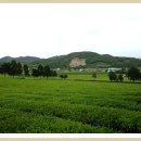 회령 옷 이미지