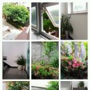 제주 홈스텔 이미지