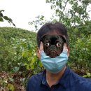 실론농장 이미지