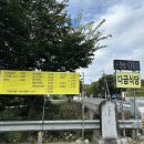 다금식당 이미지