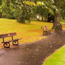 아도니스모텔 이미지