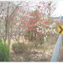 서봉1구 이미지