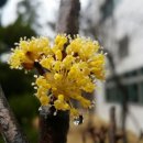 2015년 전반기 전국순회방문 (광주 전남지역 )일정 알림 이미지