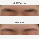 엘크레 | 신사 엘크레 후기 2회차 3회차 눈썹컨설팅 눈썹정리 내돈내산